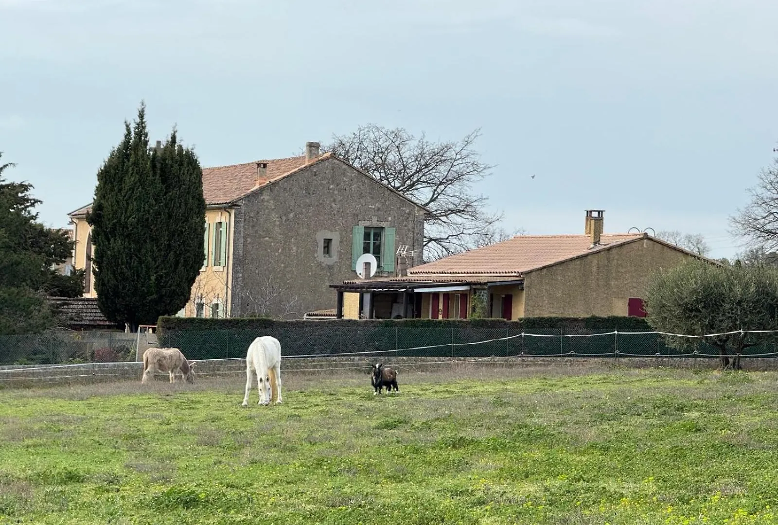 Villa Nicole Avec Piscine & Jardin Prives, Parking Dans Le Coeur Du Luberon, Proche Gordes, Roussillon, Goult, Bonnieux Oppede